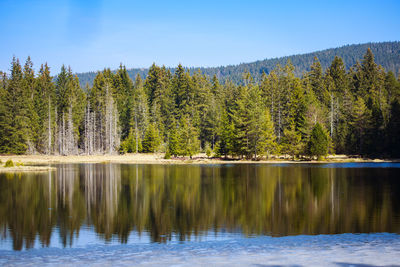 Scenic view of lake by trees against sky