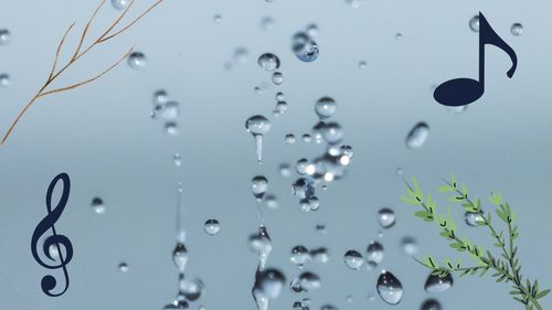 Close-up of water drops on glass