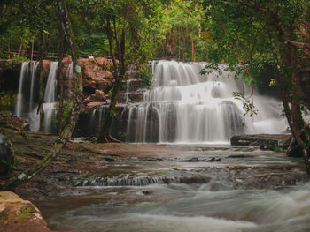 View of waterfall in forest