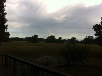 Trees on field against cloudy sky