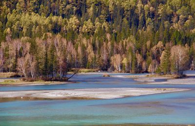 Scenic view of river