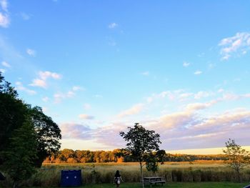 Trees on field against sky