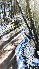 High angle view of snow covered landscape