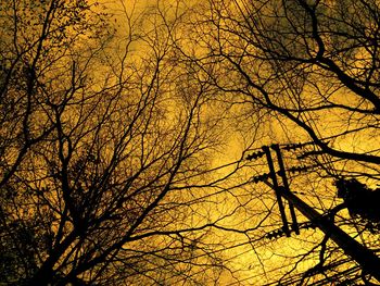 Low angle view of silhouette bare trees against sky during sunset