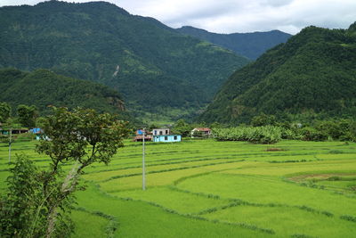 Scenic view of agricultural field by trees and mountains
