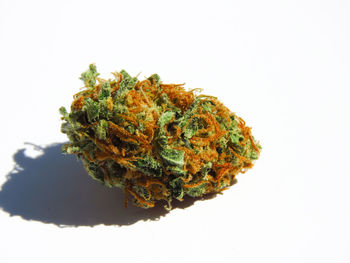 Close-up of food against white background