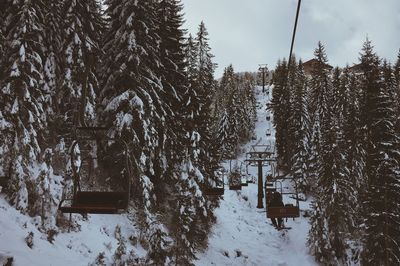 Snow covered trees against sky during winter