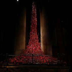 Low angle view of illuminated christmas tree