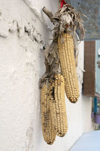 Close-up of clothes hanging on wall