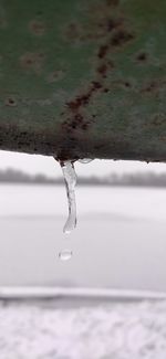 Close-up of frozen water