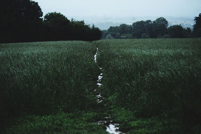 Scenic view of land against sky