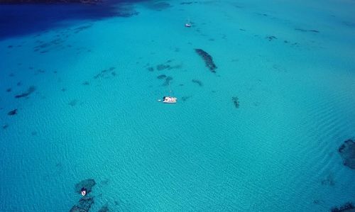 High angle view of people swimming in sea