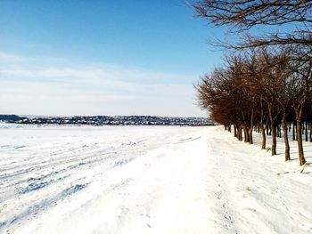 Snow covered trees against sky