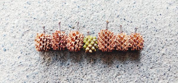 High angle view of fruits on wood