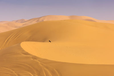 Sand dunes in desert against sky