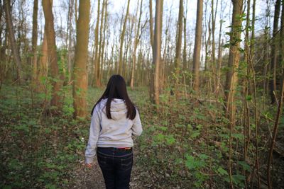 Rear view of woman walking amidst trees in forest