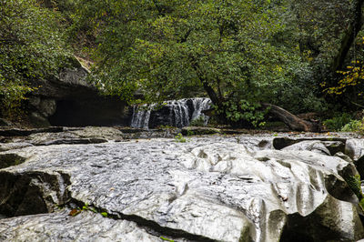 View of waterfall in forest