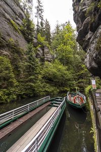 High angle view of canal amidst trees in forest