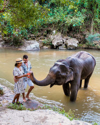 Elephant drinking water