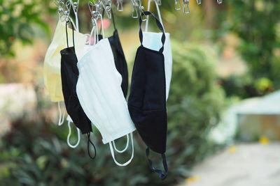 Close-up of clothes hanging on plant in yard
