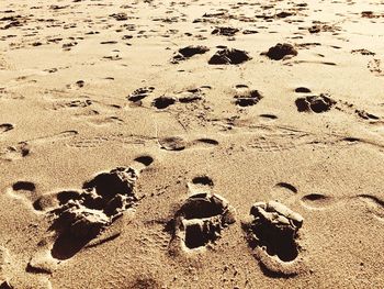 High angle view of footprints on sand at beach