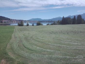 Scenic view of field against sky