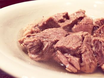 Close-up of meal served in plate