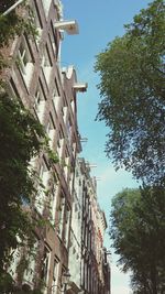 Low angle view of building