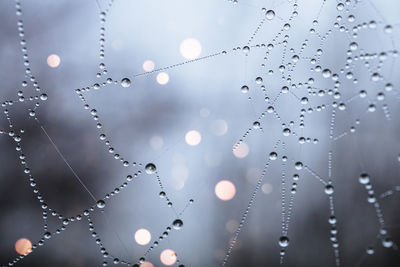 drop