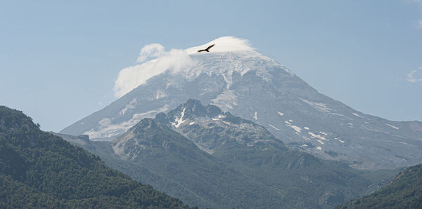 Bird flying over mountain against sky