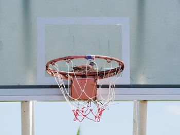 Low angle view of basketball hoop against wall