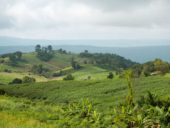 Scenic view of landscape against cloudy sky