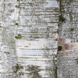 Full frame shot of weathered wall