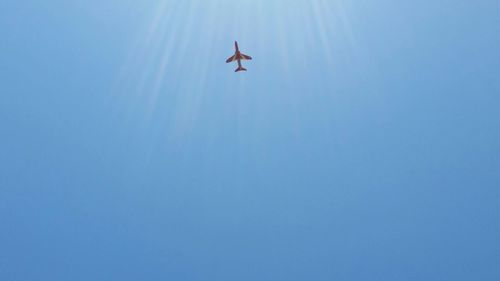 Low angle view of airplane flying in sky