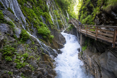 Scenic view of waterfall in forest