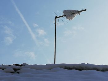 Low angle view of a bird flying over snow