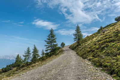 Road amidst trees against sky