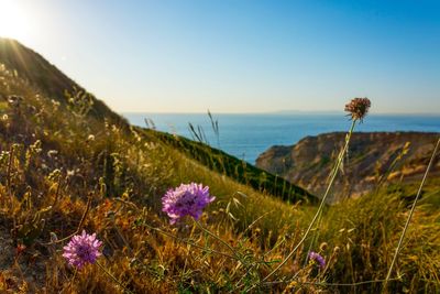 Scenic view of landscape with sea in background