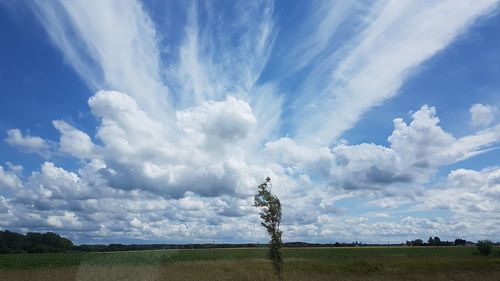 Scenic view of field against sky