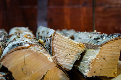 Close-up of logs