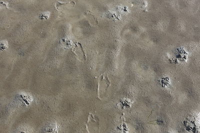 Close-up of footprints on sand