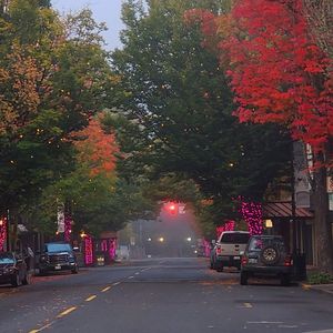 Street amidst trees in city at night