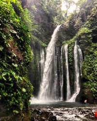 Scenic view of waterfall in forest