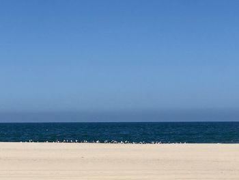 Scenic view of sea against clear blue sky