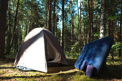 Tent in forest