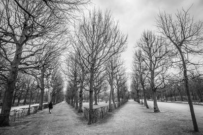 Bare trees at park against sky during winter