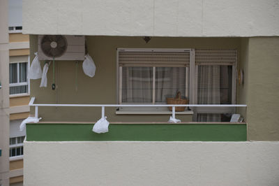 View of a bird against building