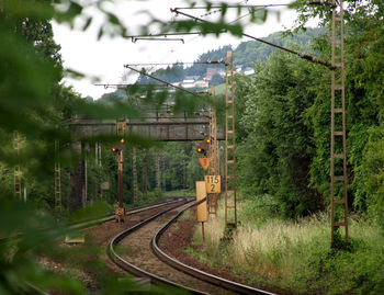 Railroad tracks amidst trees in forest