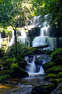 Scenic view of waterfall in forest