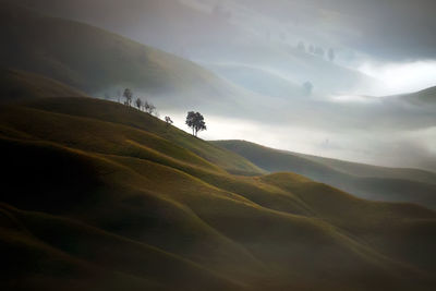 Scenic view of landscape against sky